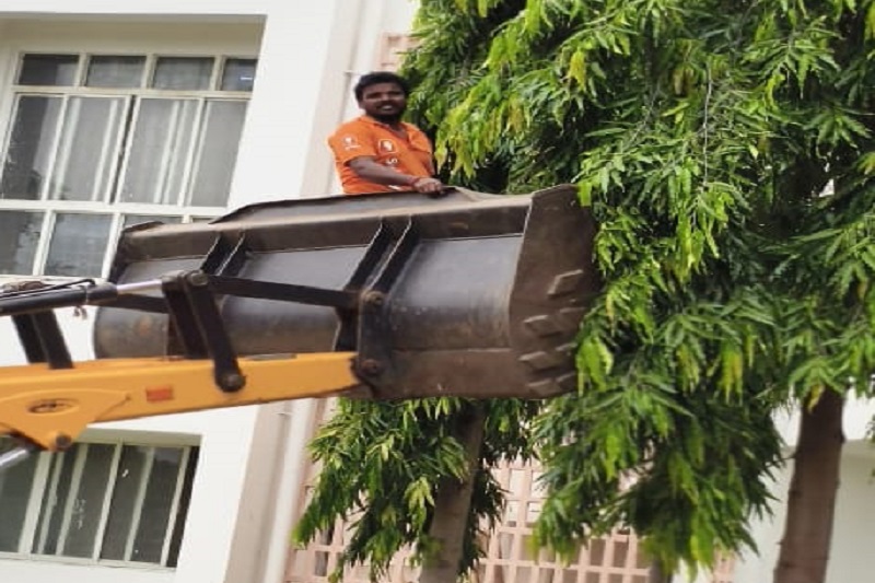 Jhaad Cutting Service